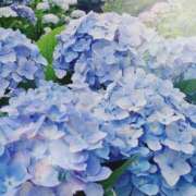 ヒメ日記 2025/06/18 08:13 投稿 あさひ 吉祥寺ミセス・シンデレラ（シンデレラグループ）