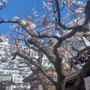 ヒメ日記 2025/03/09 08:27 投稿 実帆(みほ) 上野人妻城