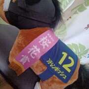 ヒメ日記 2025/04/06 08:54 投稿 実帆(みほ) 上野人妻城