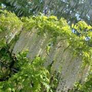 ヒメ日記 2025/05/10 22:40 投稿 実帆(みほ) 上野人妻城