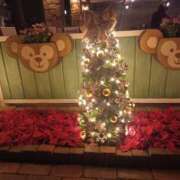 ヒメ日記 2025/12/07 09:23 投稿 実帆(みほ) 上野人妻城