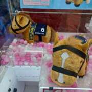 ヒメ日記 2025/12/20 22:09 投稿 実帆(みほ) 上野人妻城