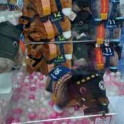 ヒメ日記 2025/12/28 09:22 投稿 実帆(みほ) 上野人妻城