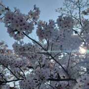 実帆(みほ) 本日出勤です♥️ 上野人妻城