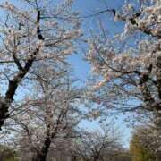 ヒメ日記 2026/04/05 08:54 投稿 実帆(みほ) 上野人妻城