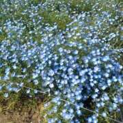 ヒメ日記 2026/04/19 09:18 投稿 実帆(みほ) 上野人妻城