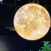 ヒメ日記 2024/12/15 07:53 投稿 伊藤ともか 川崎南町 素敵な奥様（川崎ハレ系）