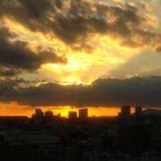 ヒメ日記 2025/07/04 17:12 投稿 伊藤ともか 川崎南町 素敵な奥様（川崎ハレ系）