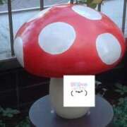 ヒメ日記 2025/11/29 13:43 投稿 伊藤ともか 川崎南町 素敵な奥様（川崎ハレ系）