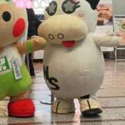 ヒメ日記 2026/01/30 17:19 投稿 伊藤ともか 川崎南町 素敵な奥様（川崎ハレ系）