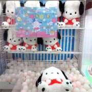 ヒメ日記 2025/10/29 20:37 投稿 れむ 土浦ハッピーマットパラダイス