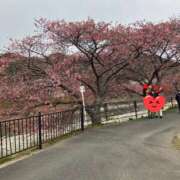 ヒメ日記 2025/02/28 13:23 投稿 てんが 熟女の風俗最終章 本厚木店