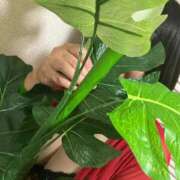 ヒメ日記 2025/04/10 20:54 投稿 てんが 熟女の風俗最終章 本厚木店