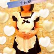 ヒメ日記 2026/03/12 08:41 投稿 てんが 熟女の風俗最終章 本厚木店