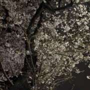 ヒメ日記 2026/03/31 00:10 投稿 める One More奥様　町田相模原店