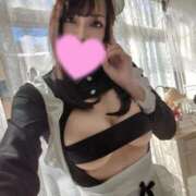 ヒメ日記 2025/03/15 13:53 投稿 ゆみ ニューティアラ