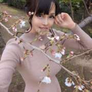 ヒメ日記 2025/03/27 07:29 投稿 ゆみ ニューティアラ