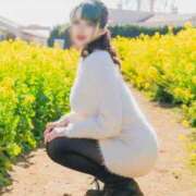 ヒメ日記 2026/02/12 10:00 投稿 ゆみ ニューティアラ