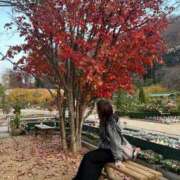 ヒメ日記 2025/12/04 12:36 投稿 彩 モアグループ所沢人妻城