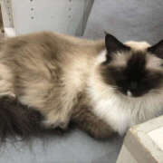 ヒメ日記 2025/06/14 10:19 投稿 のあ Happy Gang(ハッピーギャング)