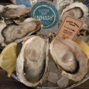 ヒメ日記 2026/01/25 09:43 投稿 のあ Happy Gang(ハッピーギャング)