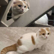 ヒメ日記 2026/02/23 10:10 投稿 のあ Happy Gang(ハッピーギャング)