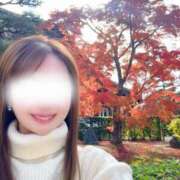 Yu Shirane そうだ京都、いこう ELEGANT－エレガント－