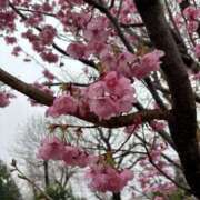 ヒメ日記 2026/03/20 21:58 投稿 Yu Shirane ELEGANT－エレガント－