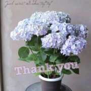 ヒメ日記 2026/06/20 22:05 投稿 Yu Shirane ELEGANT－エレガント－