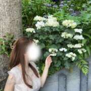 ヒメ日記 2026/06/21 07:15 投稿 Yu Shirane ELEGANT－エレガント－