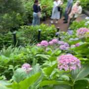 ヒメ日記 2026/06/21 20:05 投稿 Yu Shirane ELEGANT－エレガント－