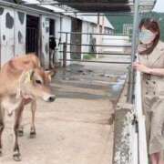 ヒメ日記 2026/07/14 23:23 投稿 Yu Shirane ELEGANT－エレガント－