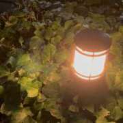 ヒメ日記 2026/08/24 00:17 投稿 Yu Shirane ELEGANT－エレガント－