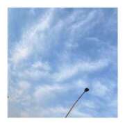 ヒメ日記 2025/06/01 06:33 投稿 さき 2980円