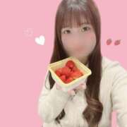 さき 16時まで> ·̫ <♩ 2980円