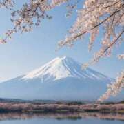 ヒメ日記 2025/04/03 11:02 投稿 まほ 熟女の風俗最終章 町田店