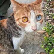 ヒメ日記 2025/04/22 10:31 投稿 まほ 熟女の風俗最終章 町田店