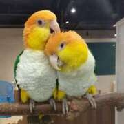 ヒメ日記 2025/04/28 10:54 投稿 まほ 熟女の風俗最終章 町田店