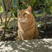 ヒメ日記 2025/05/15 11:02 投稿 まほ 熟女の風俗最終章 町田店