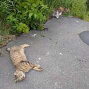 ヒメ日記 2025/05/27 11:00 投稿 まほ 熟女の風俗最終章 町田店