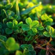 ヒメ日記 2025/07/04 10:52 投稿 まほ 熟女の風俗最終章 町田店