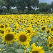 ヒメ日記 2025/08/20 10:34 投稿 まほ 熟女の風俗最終章 町田店