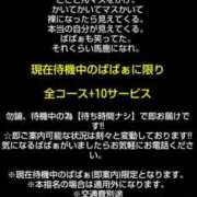 ヒメ日記 2026/09/14 10:20 投稿 まほ 熟女の風俗最終章 町田店