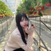 ヒメ日記 2025/04/09 12:28 投稿 りこ ピーチガール