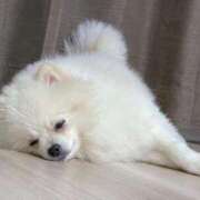 ヒメ日記 2026/01/01 12:29 投稿 りこ ピーチガール