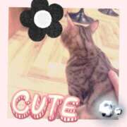 ヒメ日記 2026/03/15 23:17 投稿 るい CLUB AIRLINE（エアーライン）