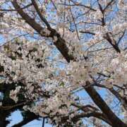 ヒメ日記 2025/04/05 11:58 投稿 なつき CLUB AIRLINE（エアーライン）