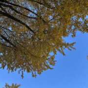 あん れつごー✊ abc＋