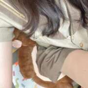 ヒメ日記 2026/04/09 22:55 投稿 ゆずは ビデオDEはんど 名古屋校