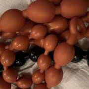 ヒメ日記 2025/09/27 23:06 投稿 蘭女王様 クラブドミナ